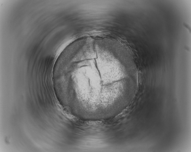 X0000099540147200806131157