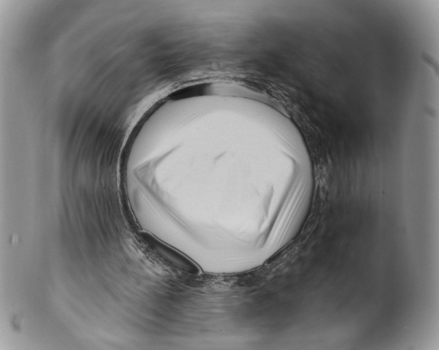 X0000099540148200806131157