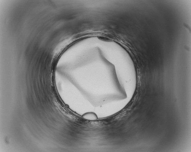 X0000099540149200806131157