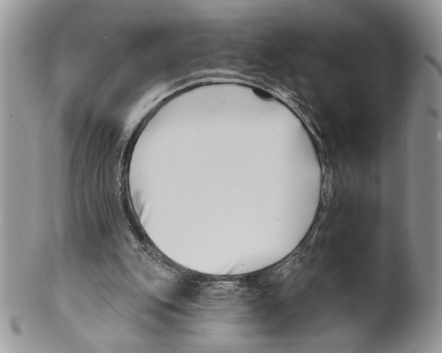 X0000099540151200806131157