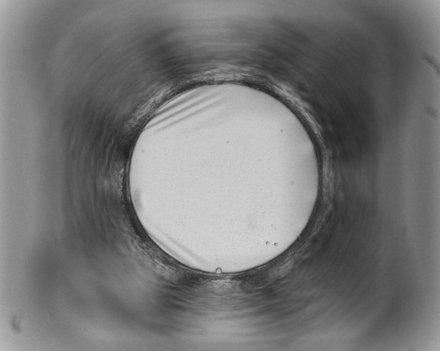 X0000099540153200806131157