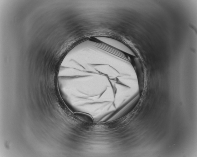 X0000099540154200806131157