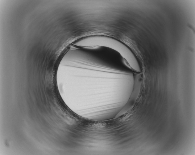 X0000099540156200806131157