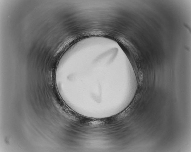 X0000099540158200806131157