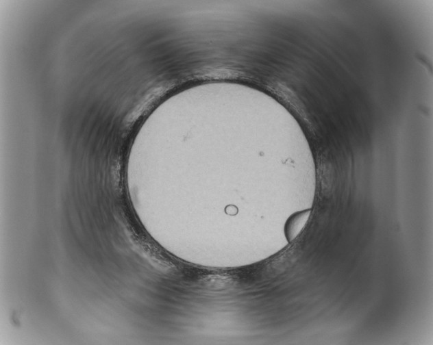 X0000099540159200806131157