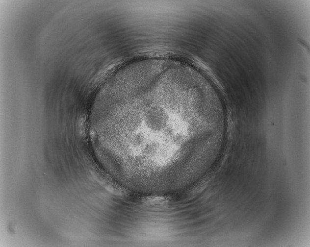 X0000099540161200806131157