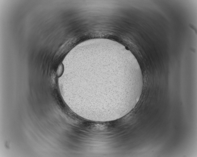 X0000099540166200806131157