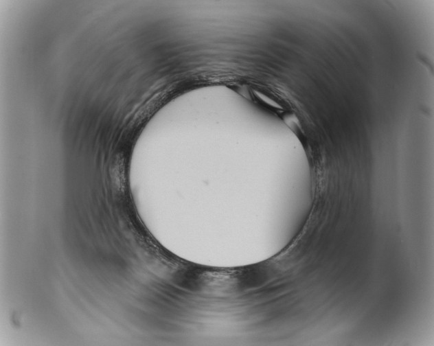 X0000099540170200806131157