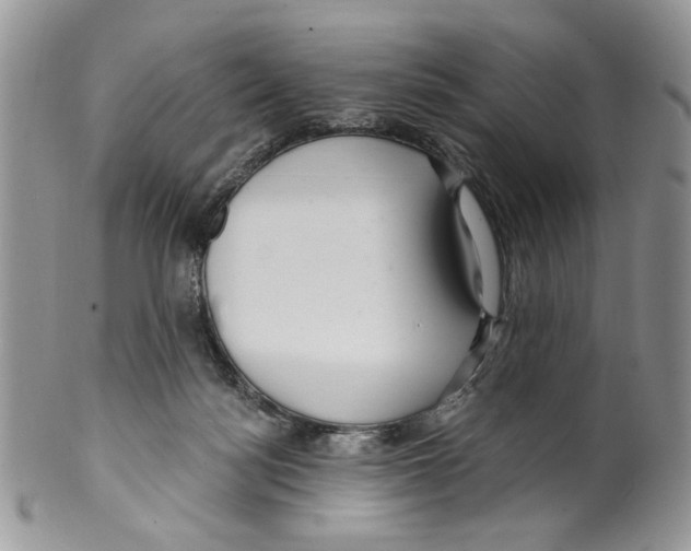 X0000099540172200806131157