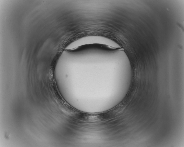 X0000099540173200806131157