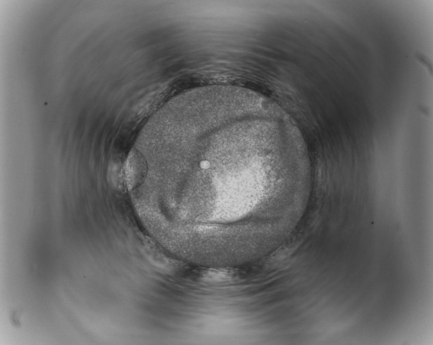 X0000099540177200806131157