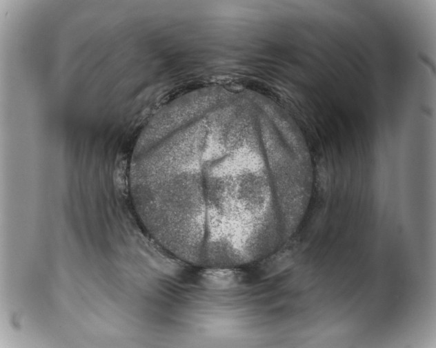 X0000099540181200806131158