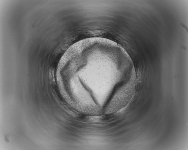 X0000099540182200806131158