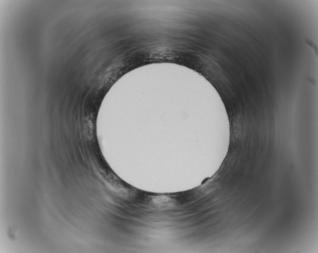 X0000099540183200806131158