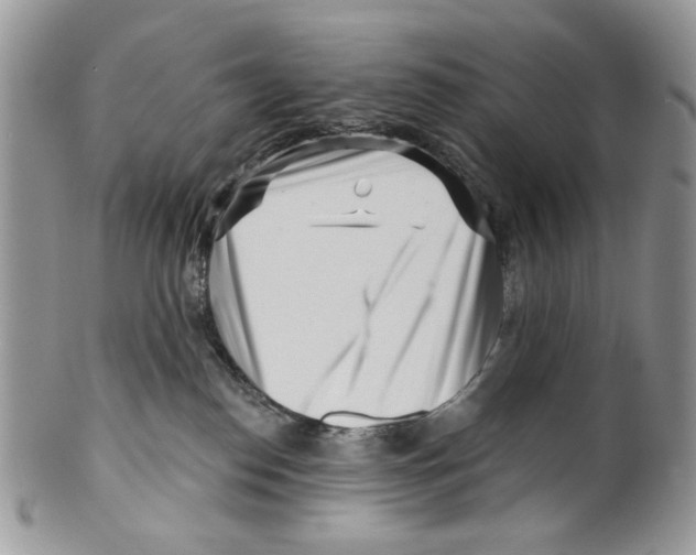 X0000099540186200806131158