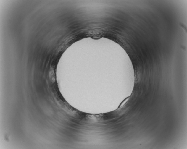 X0000099540187200806131158