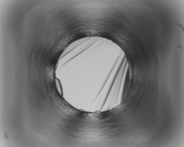 X0000099540188200806131158