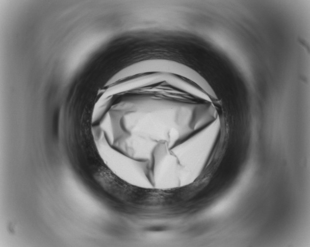 X0000099540190200806131158