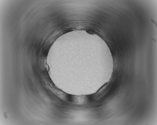 X0000099540191200806131158