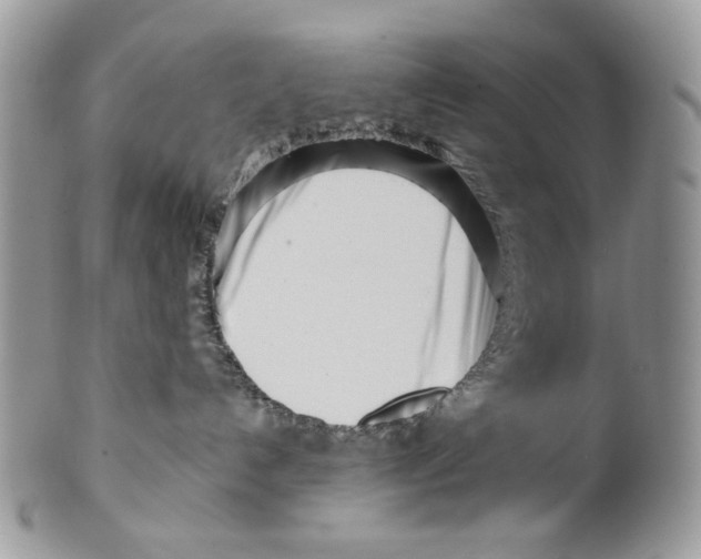 X0000099540192200806131158