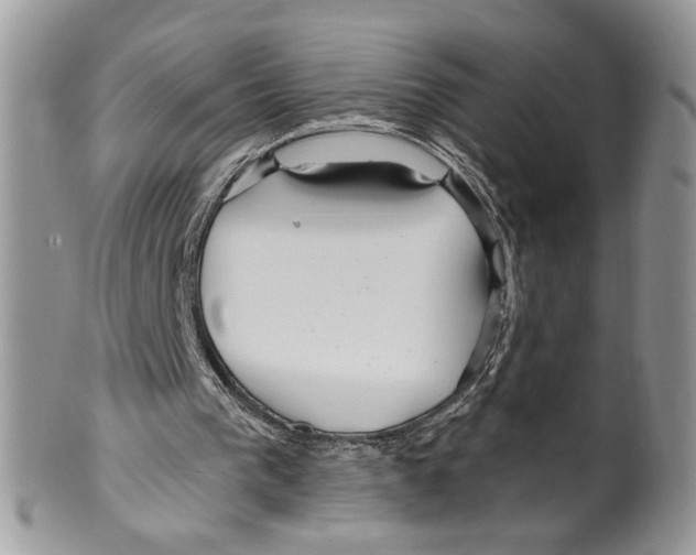 X0000099540193200806131157