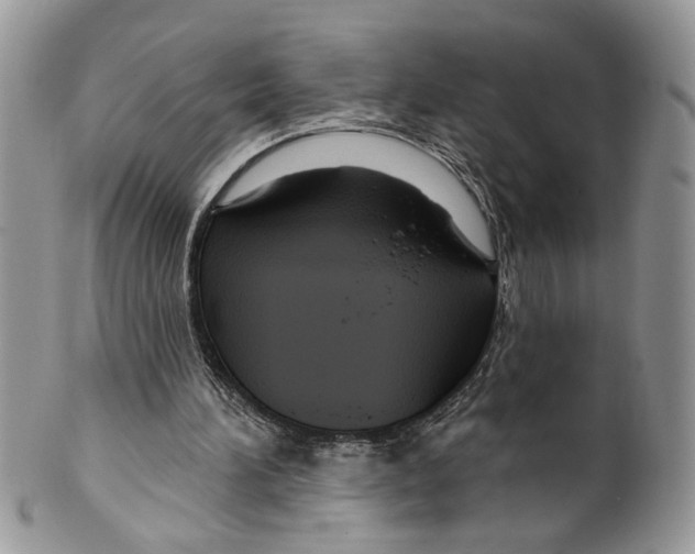 X0000099540196200806131157