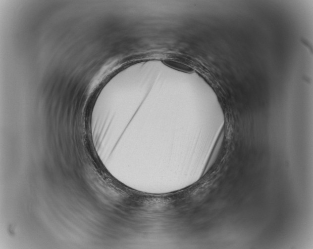 X0000099540198200806131157