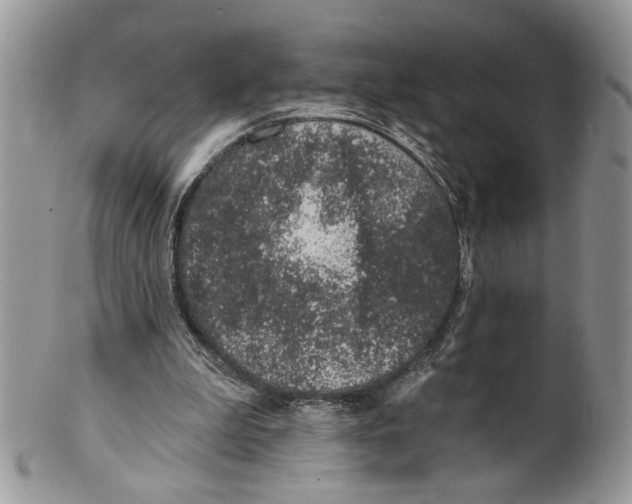 X0000099540199200806131157