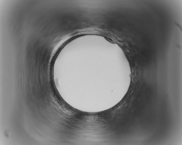 X0000099540200200806131157