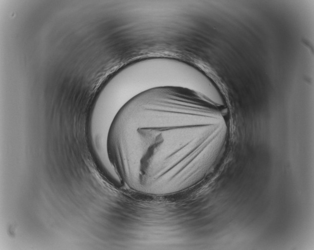 X0000099540201200806131157