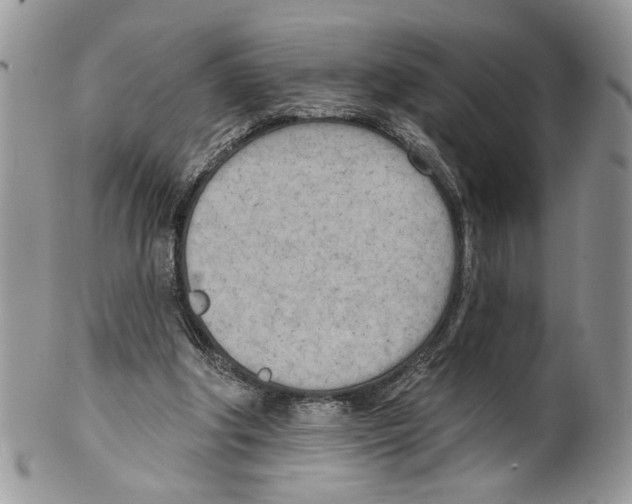 X0000099540202200806131157