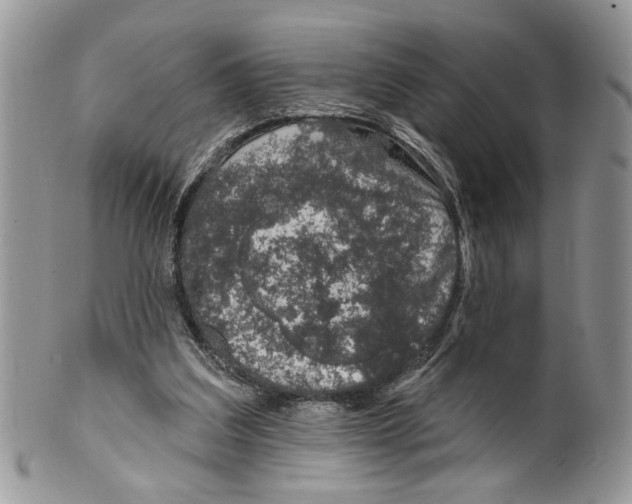 X0000099540203200806131157