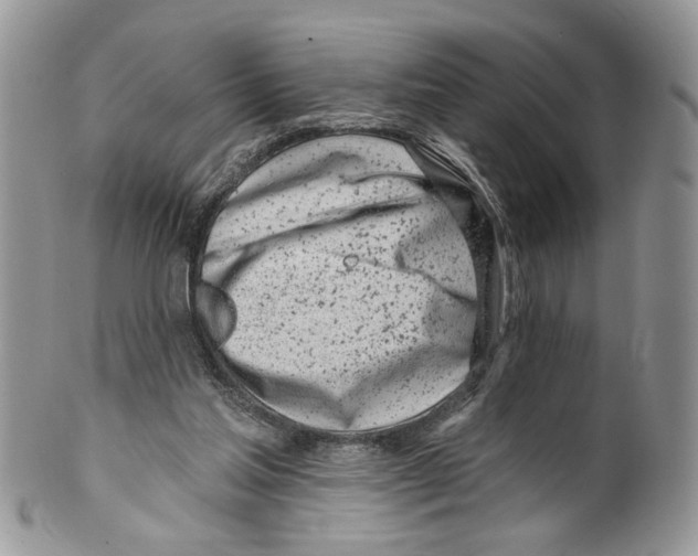 X0000099540205200806131157