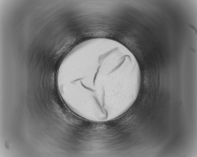 X0000099540206200806131157