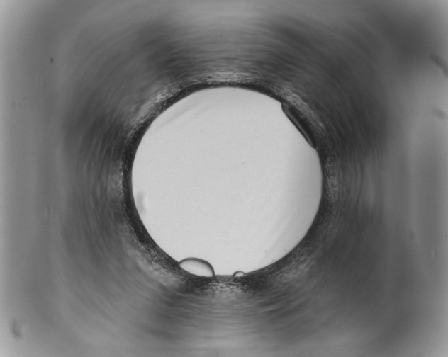 X0000099540207200806131157