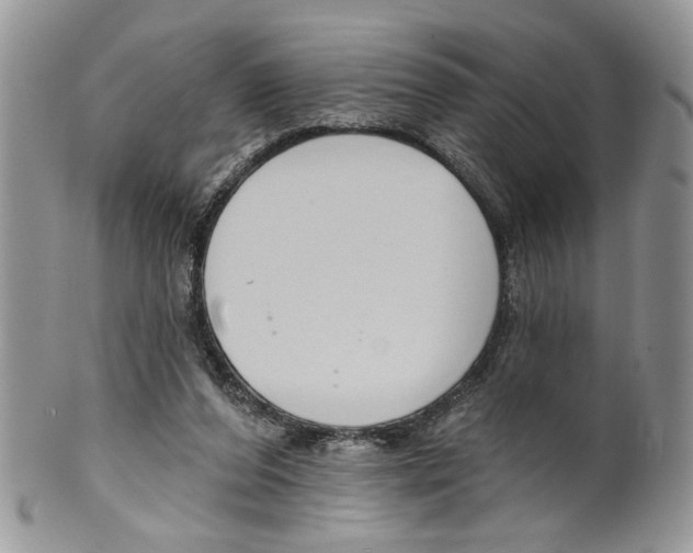 X0000099540208200806131157