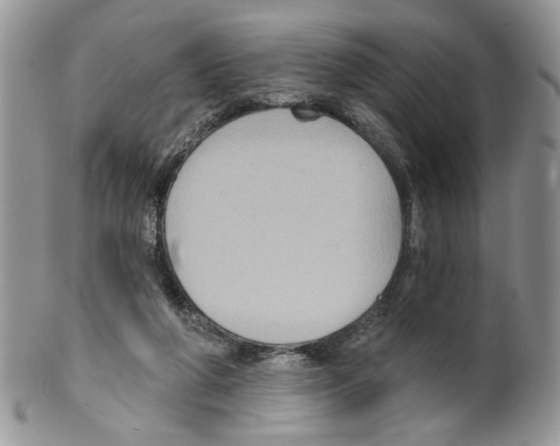 X0000099540210200806131157