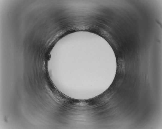 X0000099540212200806131157