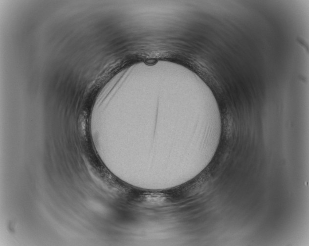 X0000099540214200806131157