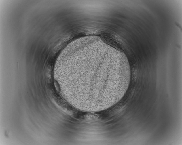 X0000099540215200806131157