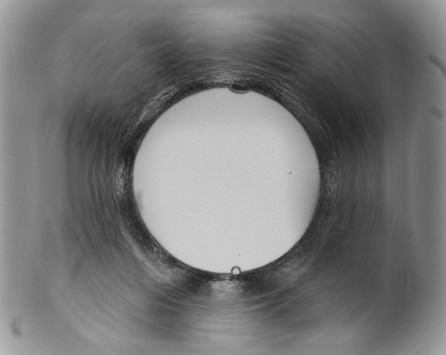 X0000099540216200806131157