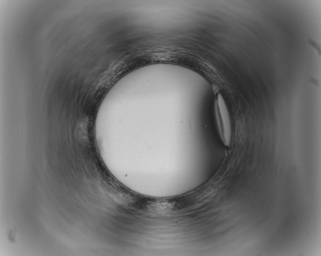 X0000099540217200806131157