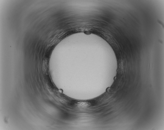 X0000099540218200806131157