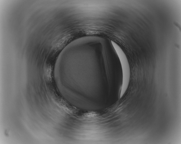 X0000099540219200806131157