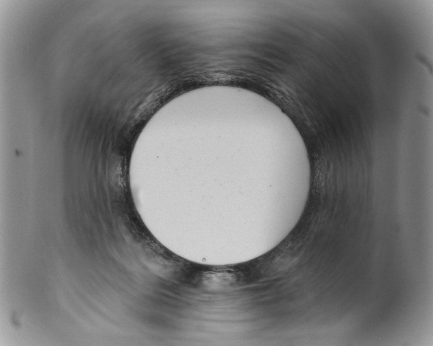 X0000099540220200806131157