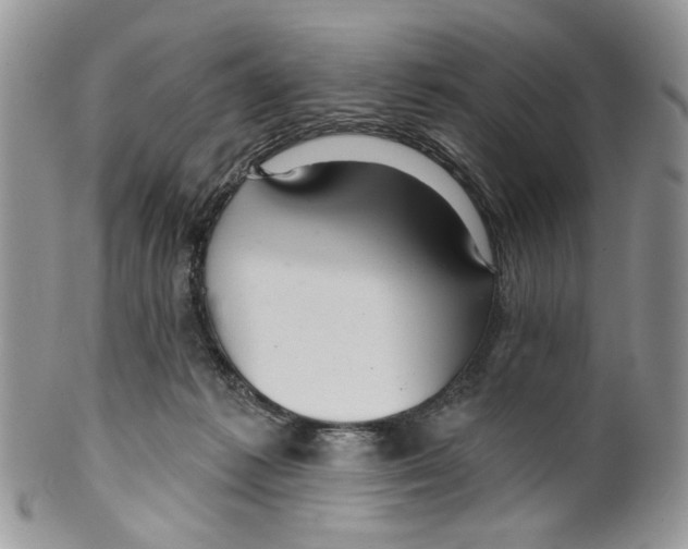 X0000099540221200806131157