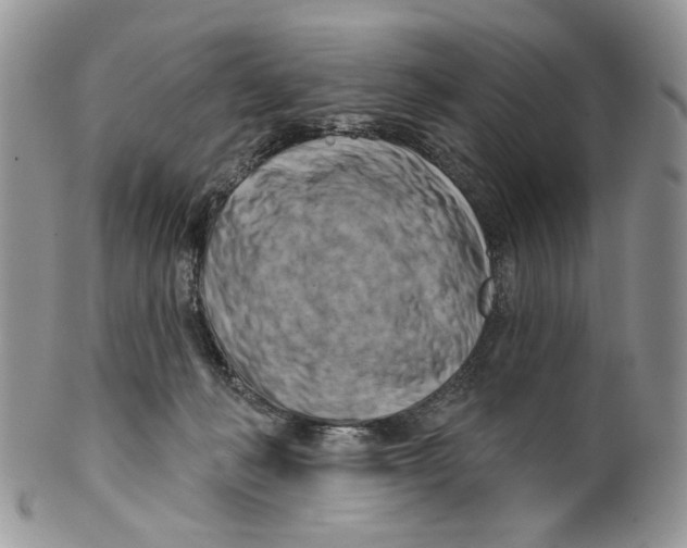 X0000099540222200806131157