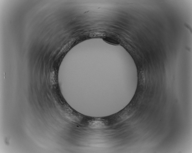 X0000099540224200806131157