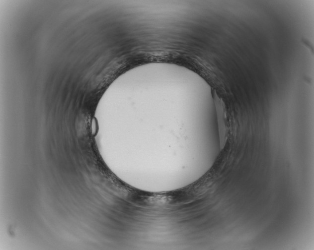 X0000099540225200806131157