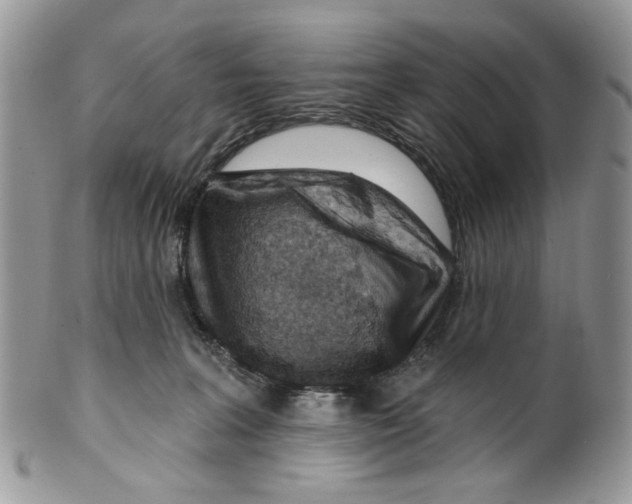 X0000099540227200806131157